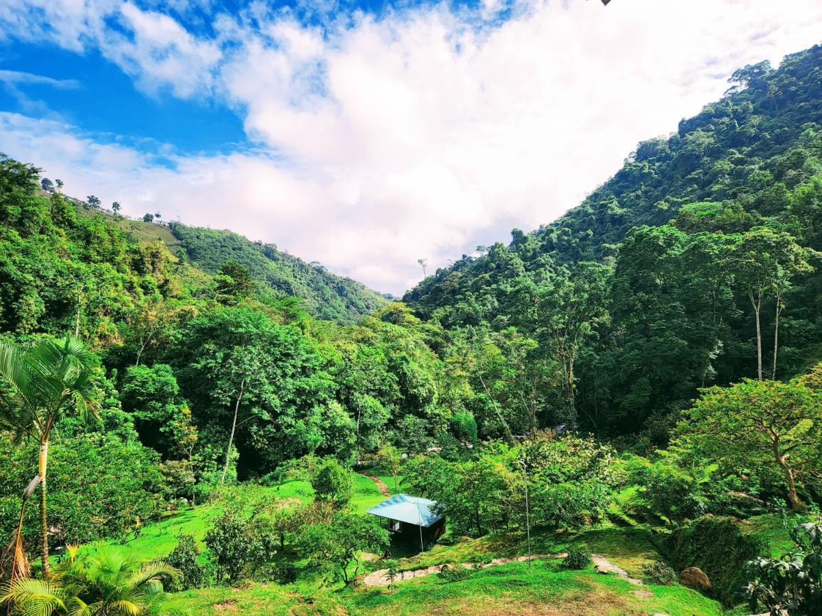 Rivel - Restaurant & Nature Retreat Resort